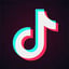 Phone Format logo