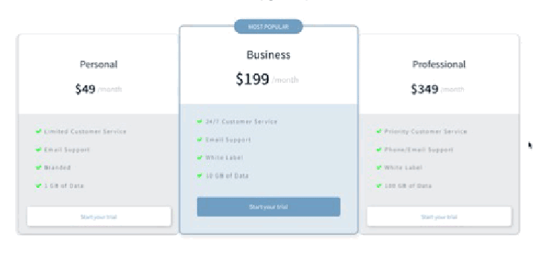Screenshot demo of the 805/Blocks - Pricing template.