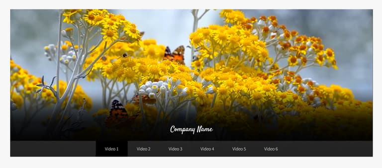 Screenshot demo of the Hero Video & Image Slider template.
